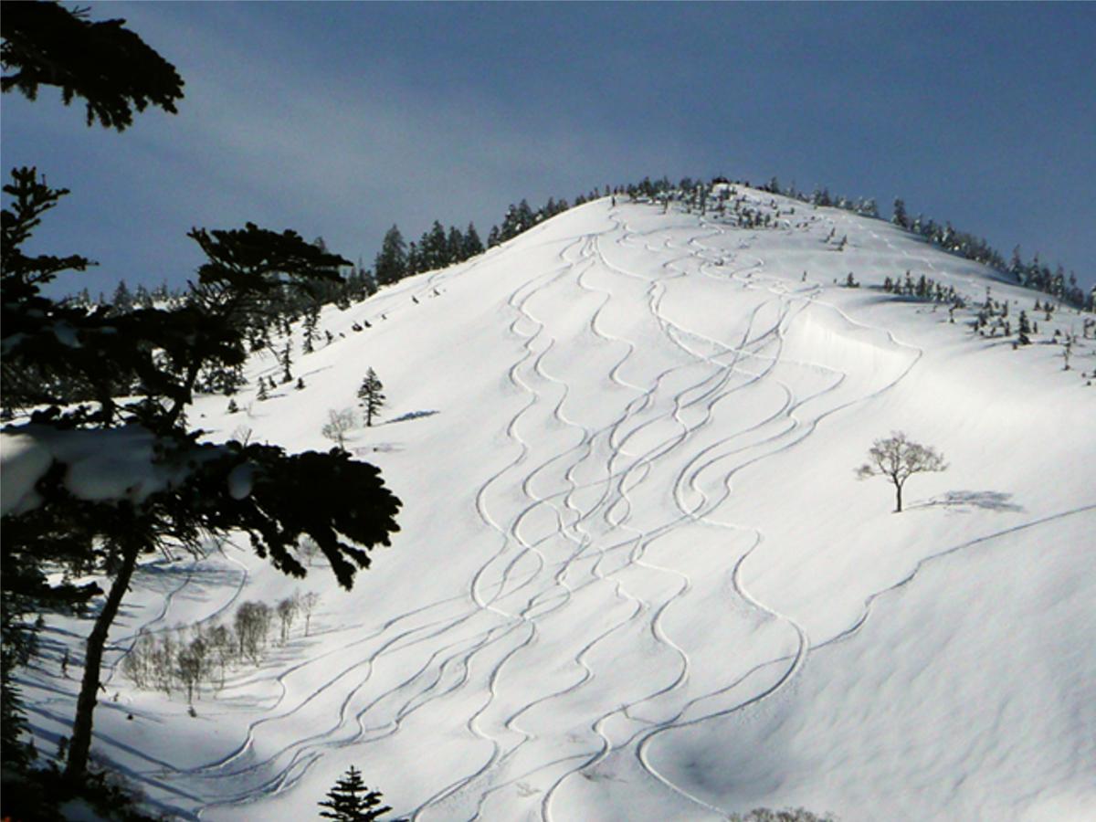 Kagura White Horse Inn Yuzawa  Eksteriør bilde